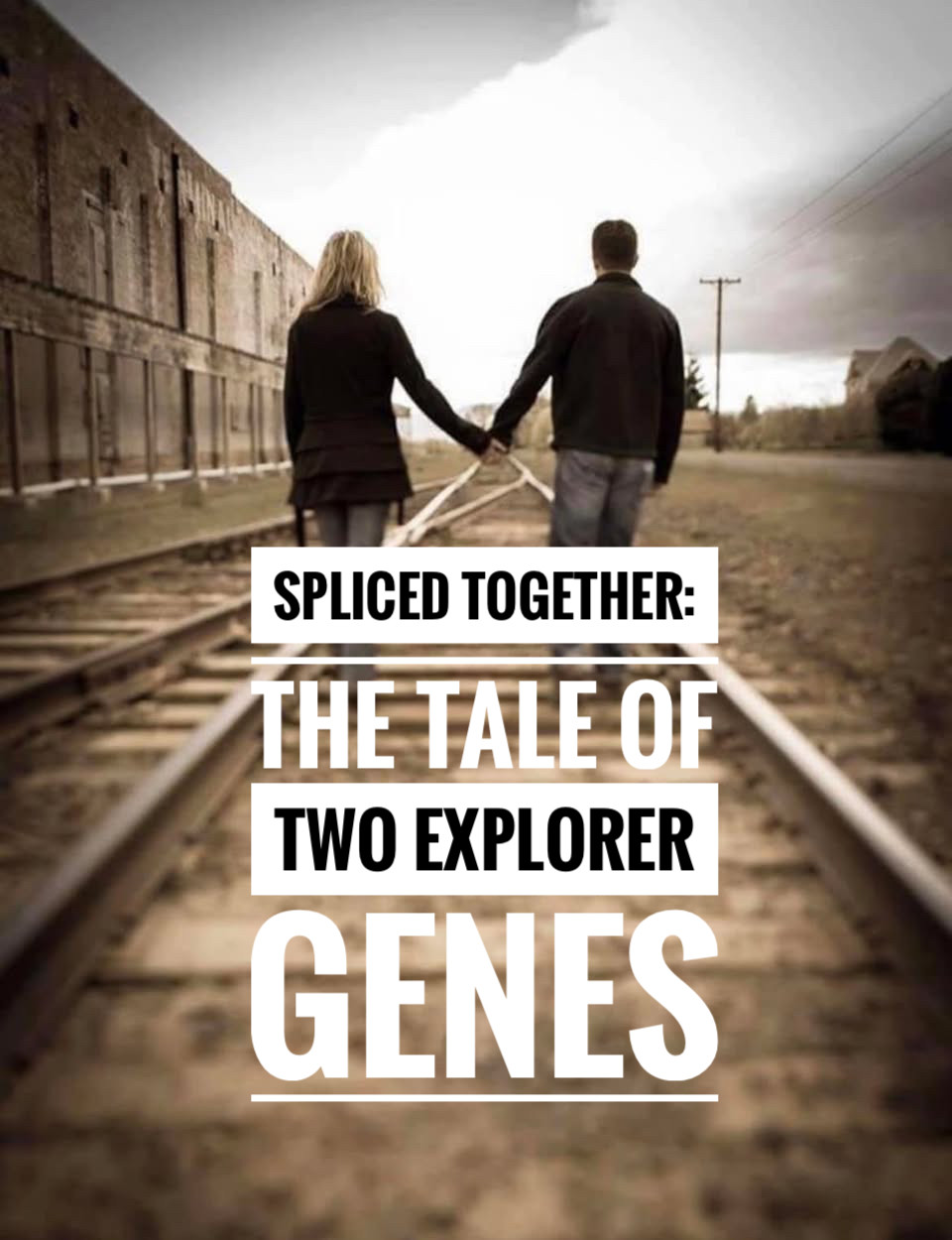 Spliced Together: The Tale of Two Explorer Genes