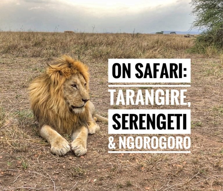 Read more about the article On Safari: Tarangire, Serengeti and Ngorogoro Crater