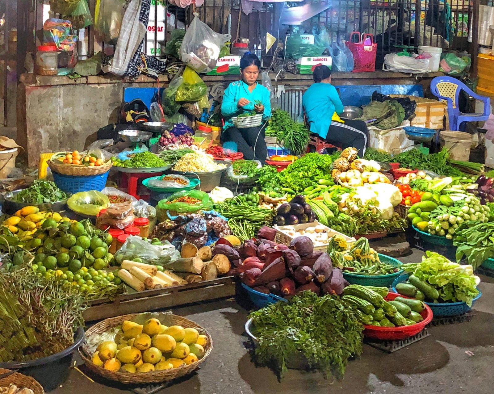 Cambodia: Discovering Battambang & Siem Reap - Explorer Genes