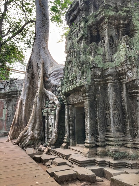 Ta Prohm – Siem Reap, Cambodia - Atlas Obscura