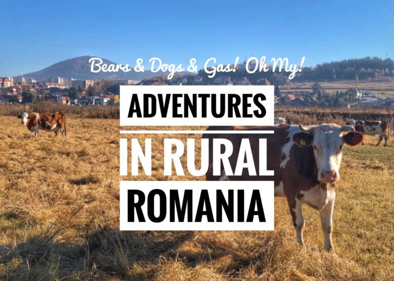 Dogs & Bears and Gas! Oh My! Adventures in Rural Romania