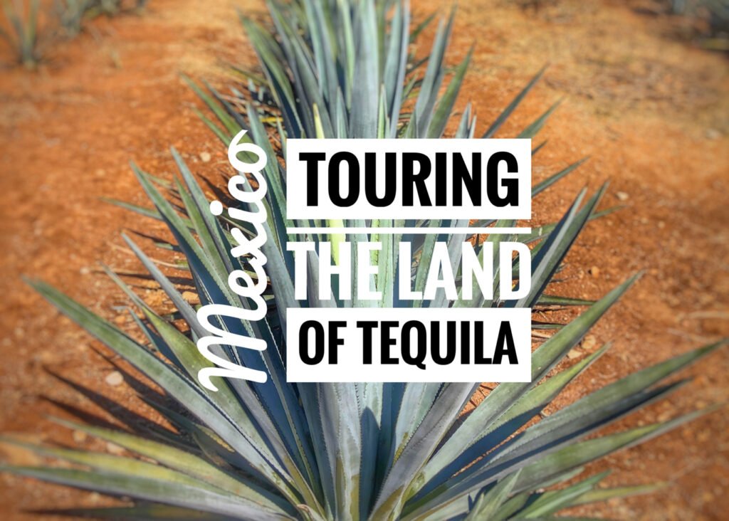 Mexico: Touring the Land of Tequila
