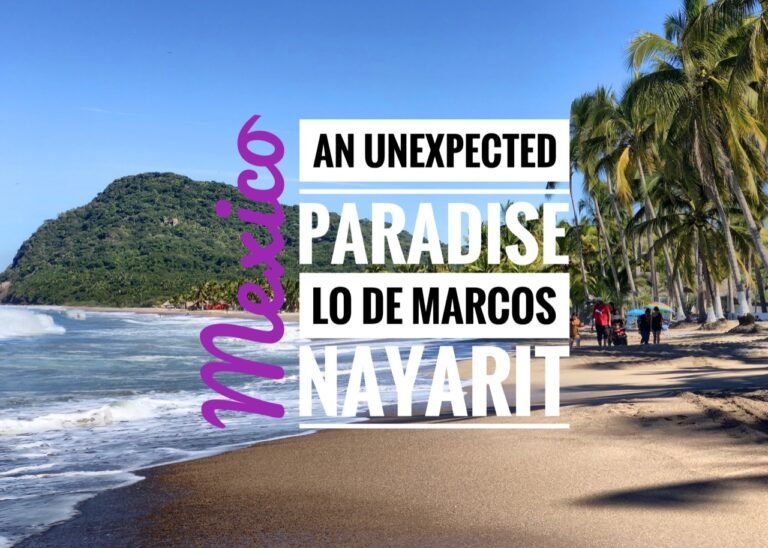 Read more about the article An Unexpected Paradise in Lo De Marcos, Mexico