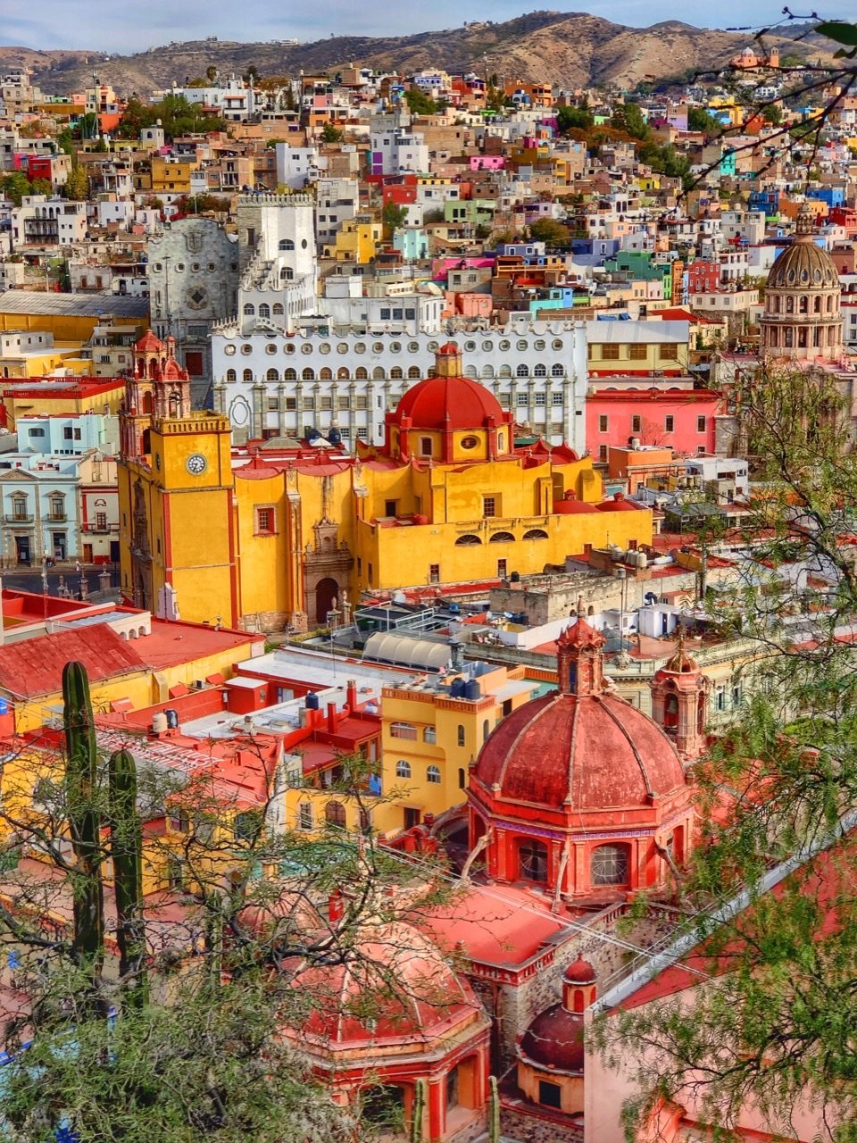 Excursions & Adventures in Guanajuato, Mexico - Explorer Genes