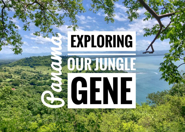 Read more about the article Exploring our Jungle Gene: Housesit in Panama