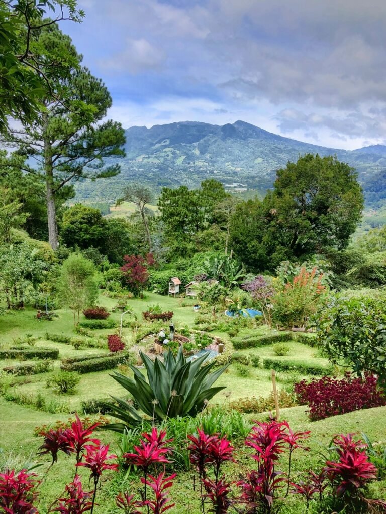 Discovering Beautiful Boquete, Panama - Explorer Genes