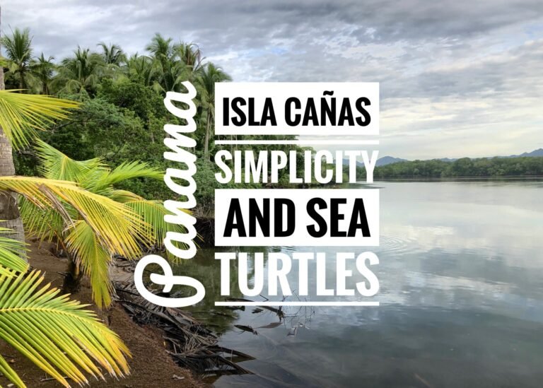 Read more about the article Simplicity and Sea Turtles in Isla Cañas, Panama