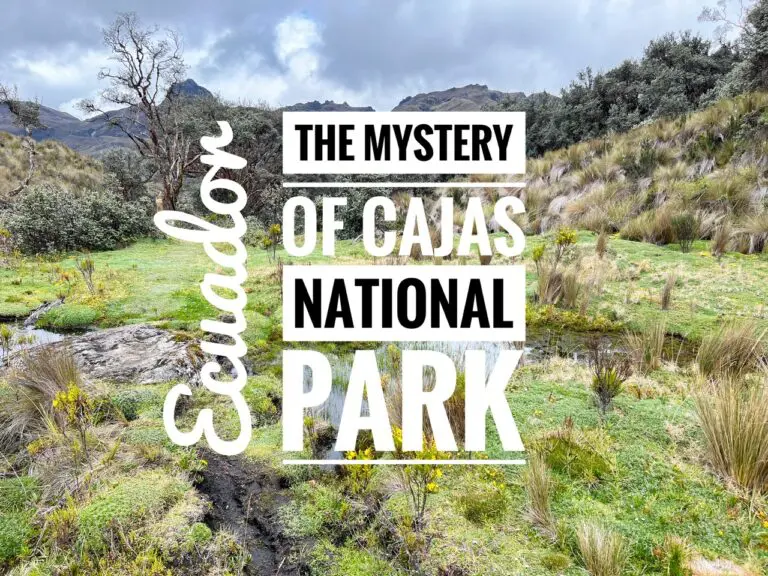 Read more about the article The Mystery of Cajas National Park, Ecuador