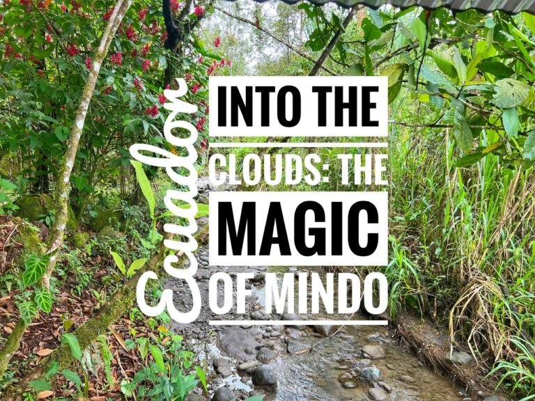 Into the Clouds: The Magic of Mindo, Ecuador