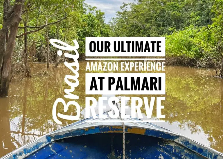 Read more about the article Our Ultimate Amazon Experience at Palmari Reserve, Brasil