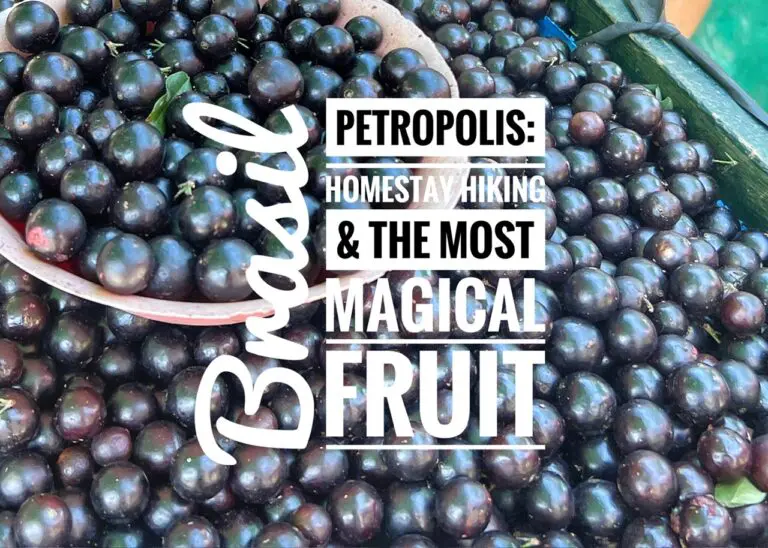 Read more about the article Petropolis, Brasil: Homestay, Hiking & the World’s Most Magical Fruit