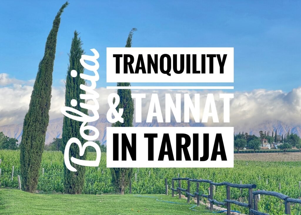 Tranquility & Tannat in Tarija, Bolivia