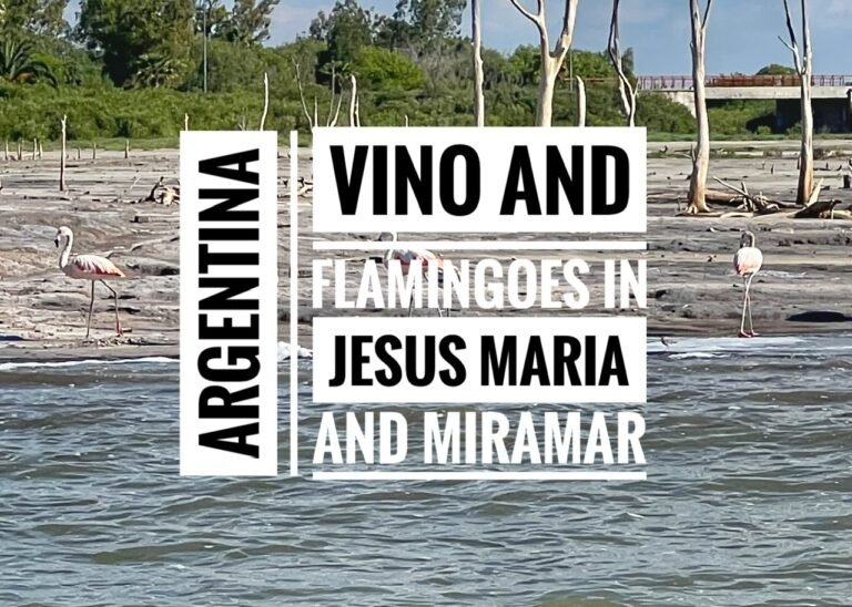 Read more about the article Vino & Flamingoes in Jesus Maria and Miramar, Argentina