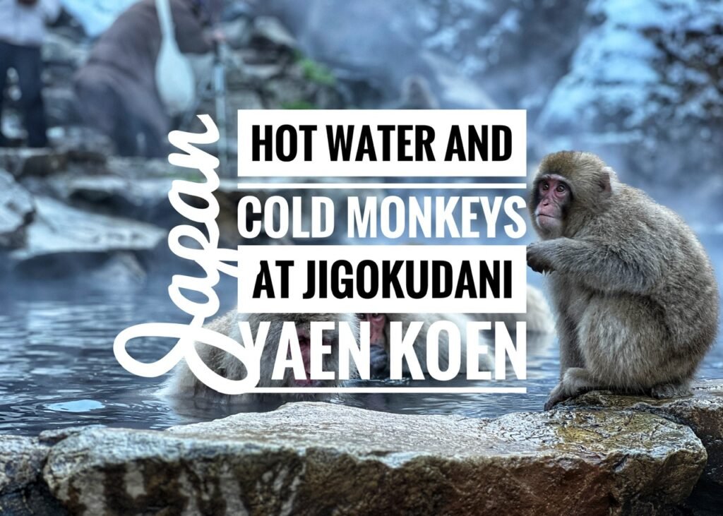 Hot Water and Cold Monkeys at Jigokudani Yaen Koen, Japan