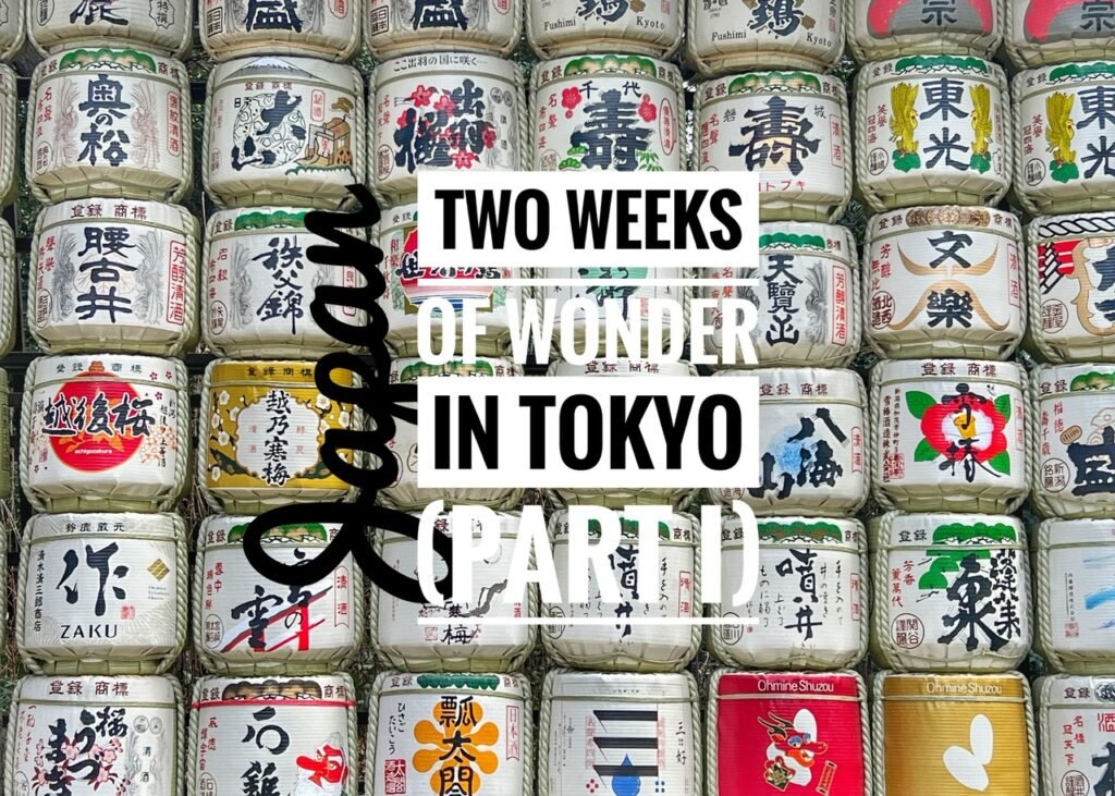 Two weeks of wonder in Tokyo, Japan