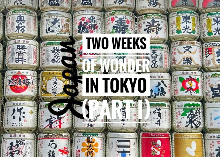 Read more about the article Two weeks of Wonder in Tokyo, Japan (Part I)