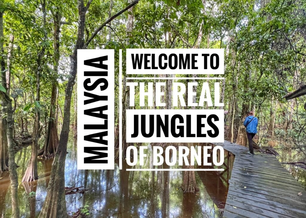 Welcome to the Real Jungles of Borneo, Malaysia