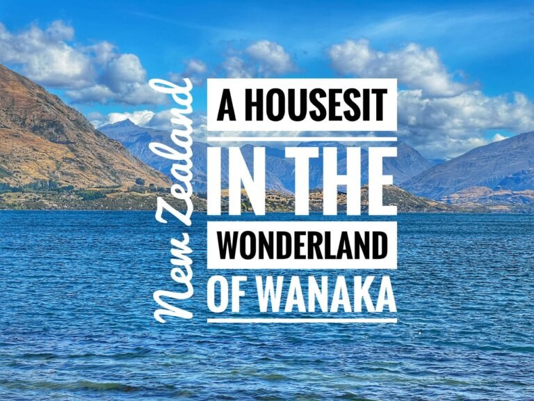 Read more about the article A Housesit in the Wonderland of Wanaka, NZ