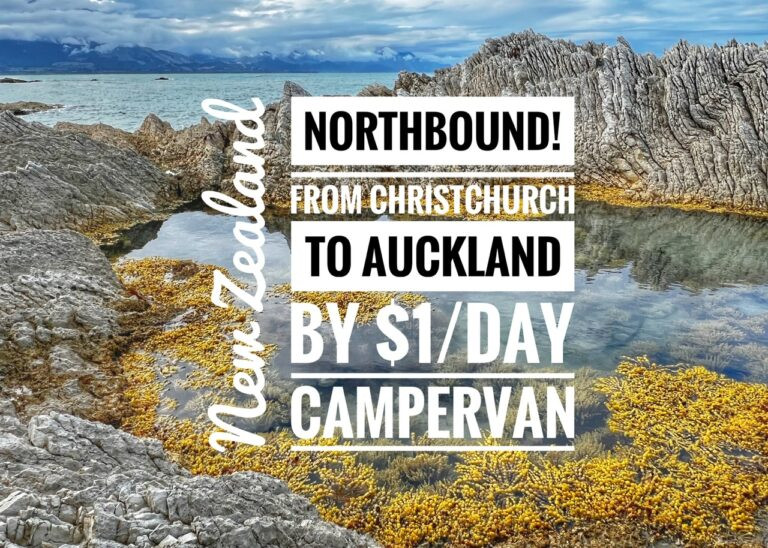 Read more about the article Northbound! From Christchurch to Auckland by $1/Day Campervan