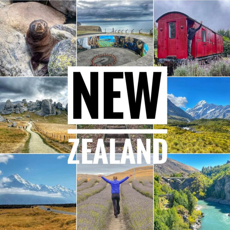 Read more about the article It’s a Wrap! New Zealand
