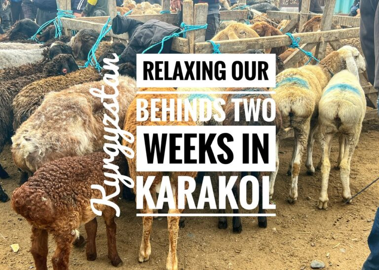 Read more about the article Relaxing our Behinds Two Weeks in Karakol, Kyrgyzstan