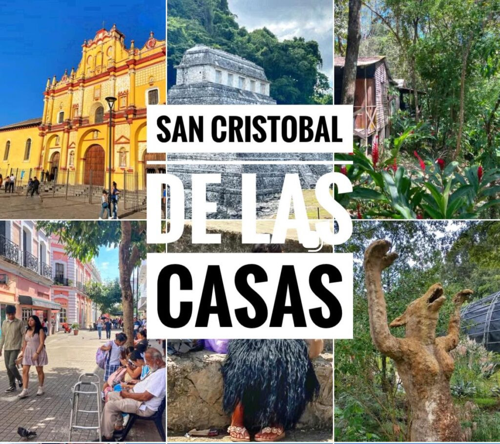It's a Wrap!! San Cristobal de Las Casas
